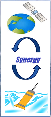 SynObs Logo