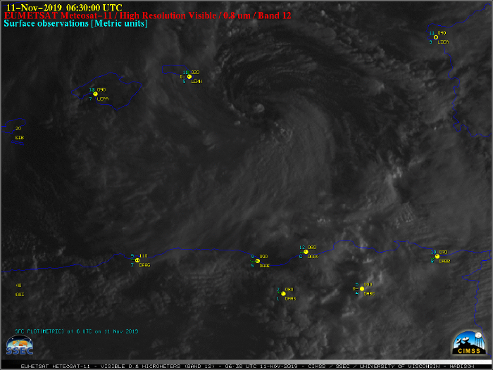 Mediterranean Tropical Cyclone-Like System