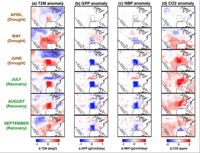 graph of monthly anomalies caused by the imposed drought