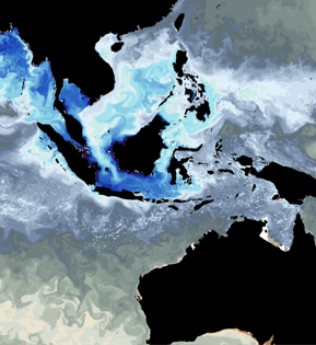 Sea surface currents and salinity near the maritime continent thumbnail